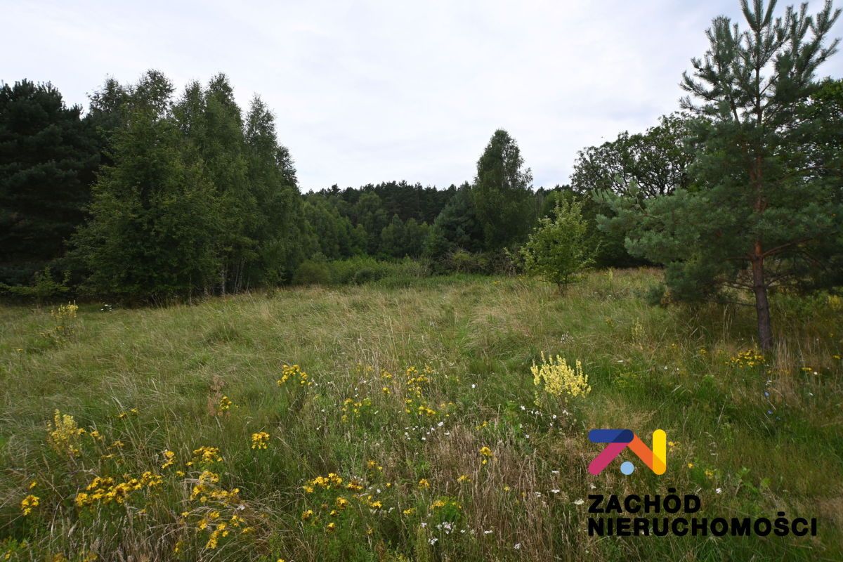 Działka budowlana Czarna. Zdjęcie 3