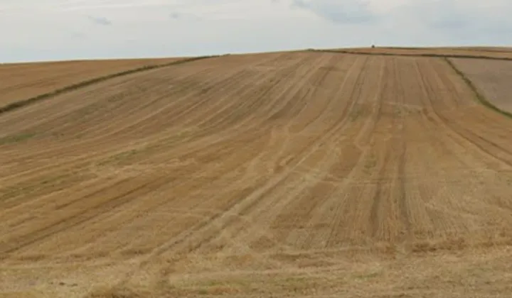 Działka rolna Tarnawatka, Tarnawatka, powiat Tomaszów Lubelski