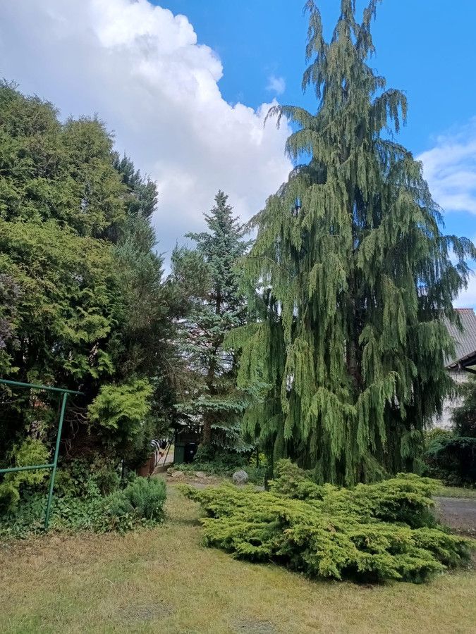 dom wolnostojący, 6 pokoi Skarżysko-Kamienna Bór, ul. Świerkowa. Zdjęcie 7