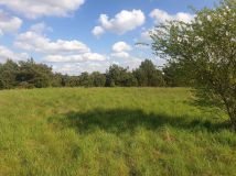 Działka budowlana Napiwoda. Zdjęcie 2