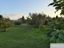 Działka rod Międzychód. Zdjęcie 4