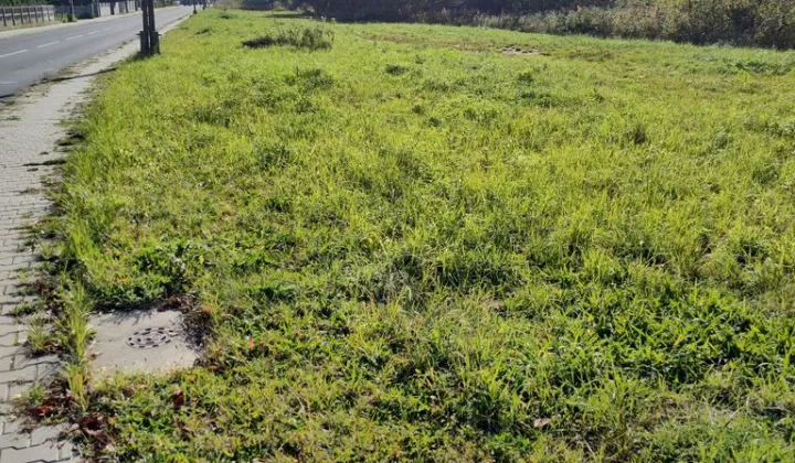 Działka inwestycyjna Myszków, ul. Słowackiego