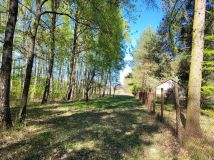 siedlisko Zaręby, ul. Kuropatwy. Zdjęcie 2