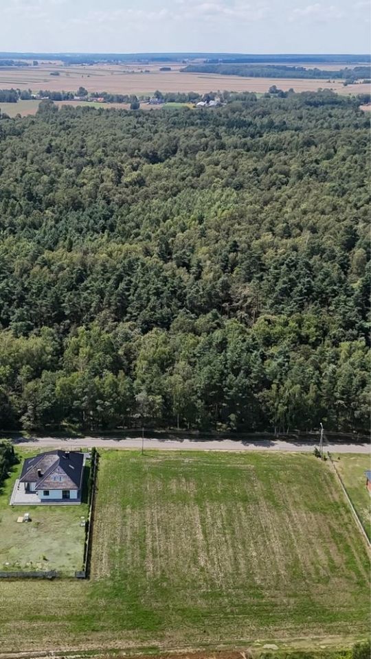 Działka rolno-budowlana Dankowice-Piaski. Zdjęcie 2