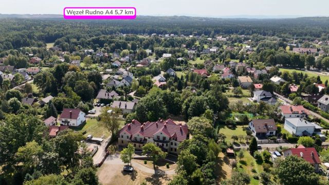 Lokal Tenczynek, ul. Henryka Sienkiewicza. Zdjęcie 9