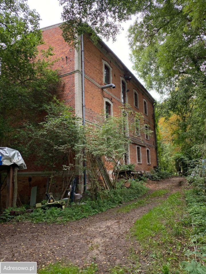 Nieruchomość komercyjna Słonów. Zdjęcie 5