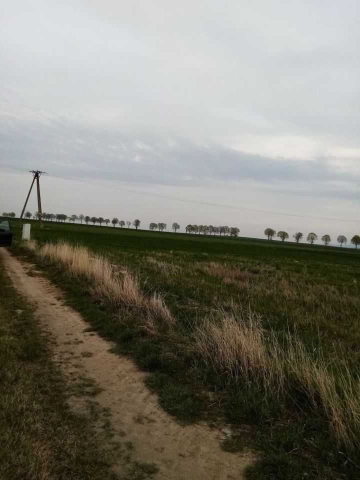 Działka budowlana Gościsław. Zdjęcie 4