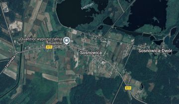bliźniak Sosnowica