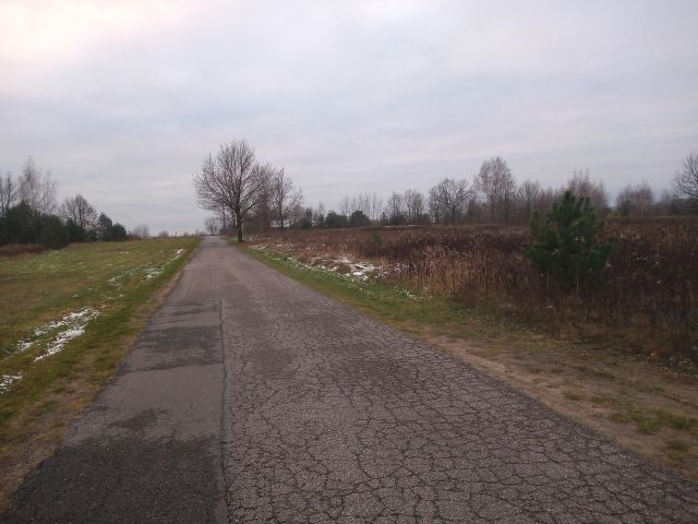 Działka budowlana Sierzchów, ul. Sosnowa. Zdjęcie 1