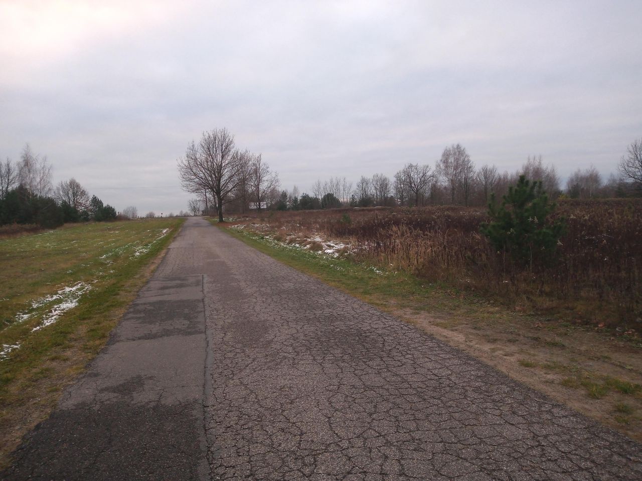 Działka budowlana Sierzchów, ul. Sosnowa