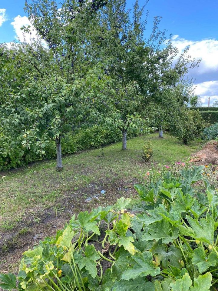 Działka rod Namysłów. Zdjęcie 4