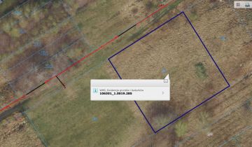 Działka budowlana Skierniewice Starbacicha