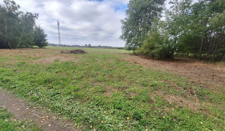 Działka rekreacyjna Kwiatkowice-Las