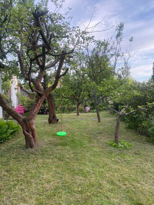 Działka rod Balice. Zdjęcie 6