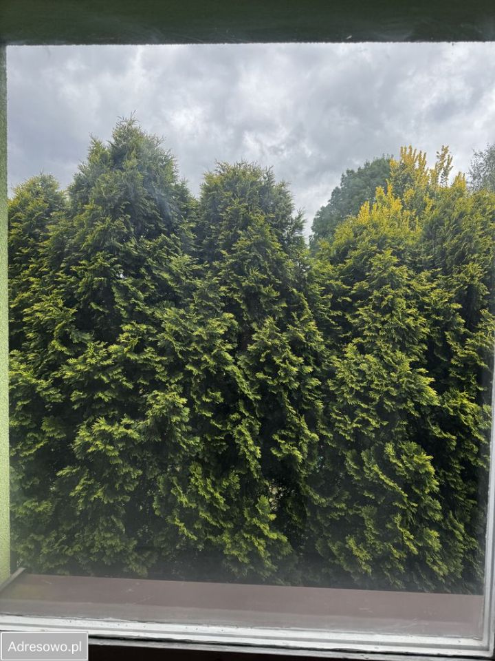 Mieszkanie 3-pokojowe Dąbrowa Górnicza Reden , ul. Zygmunta Cieplaka. Zdjęcie 6