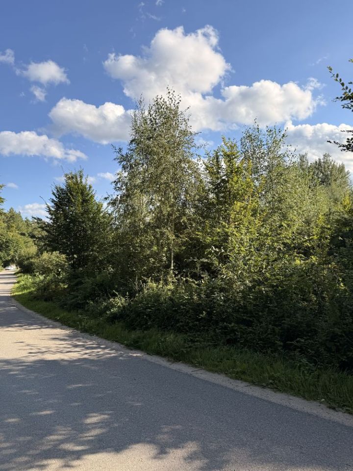 Działka budowlana Pierszczewko. Zdjęcie 7