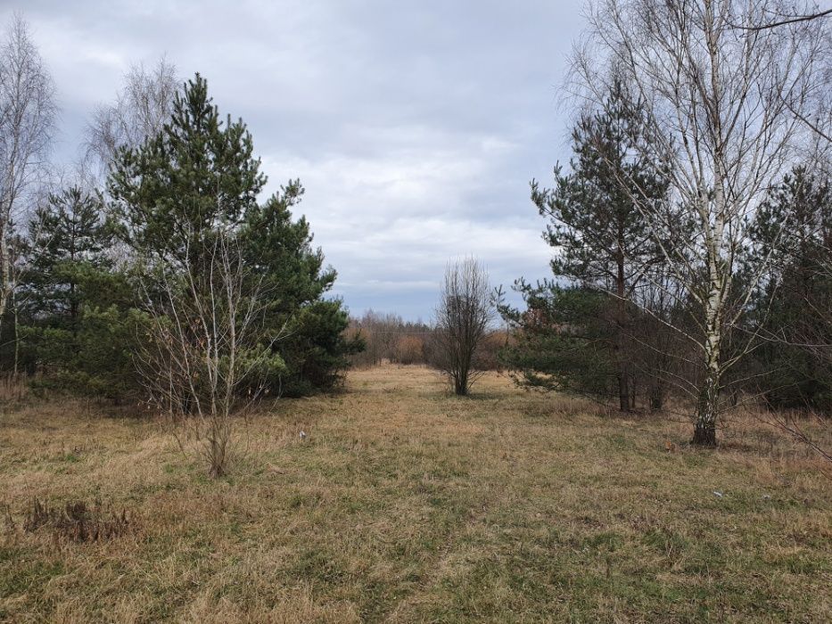 Działka rolna Lublinów. Zdjęcie 6