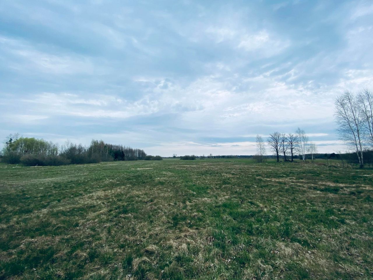 Działka siedliskowa Orzeszkowo Olszyna. Zdjęcie 9