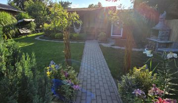 Działka rod Sosnowiec Sielec, ul. Jaskółek