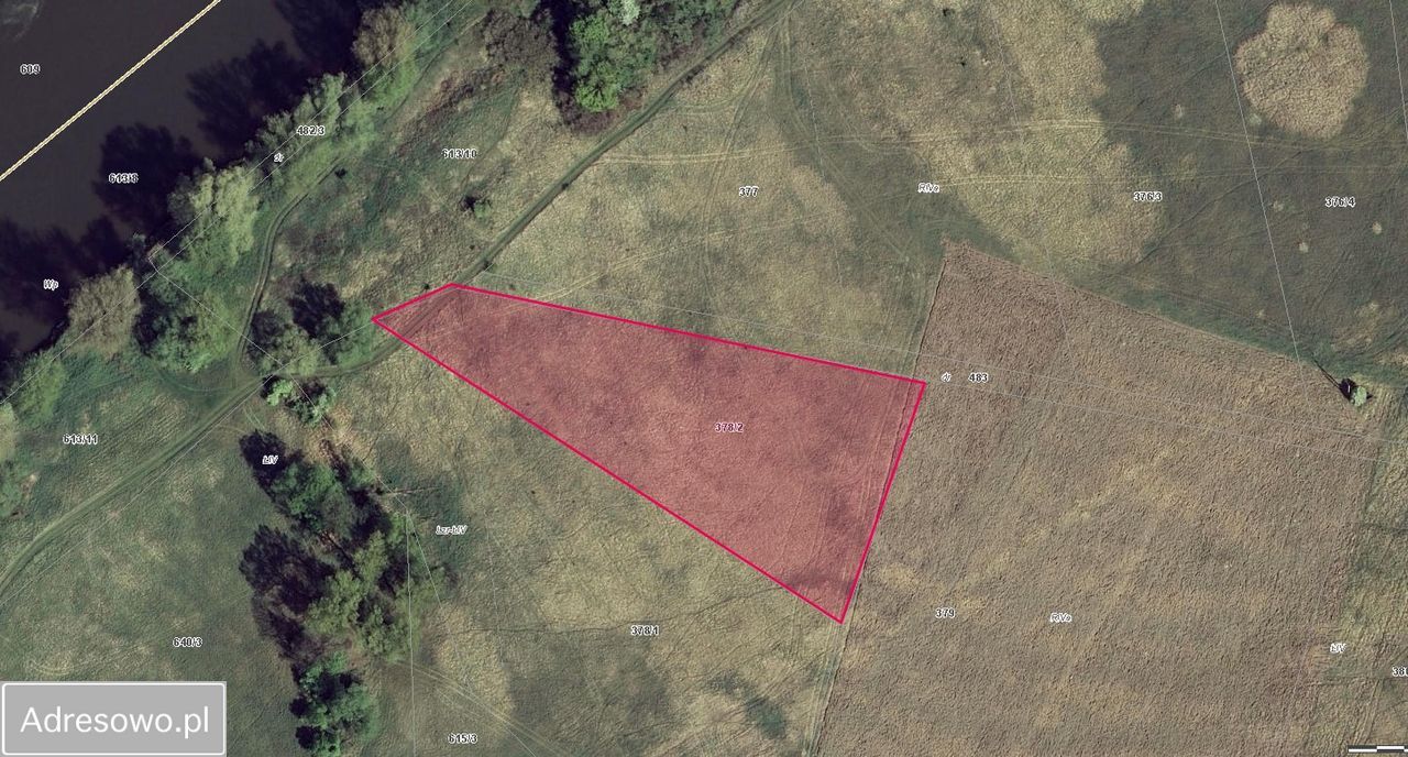 Działka rolna Kotowice. Zdjęcie 5