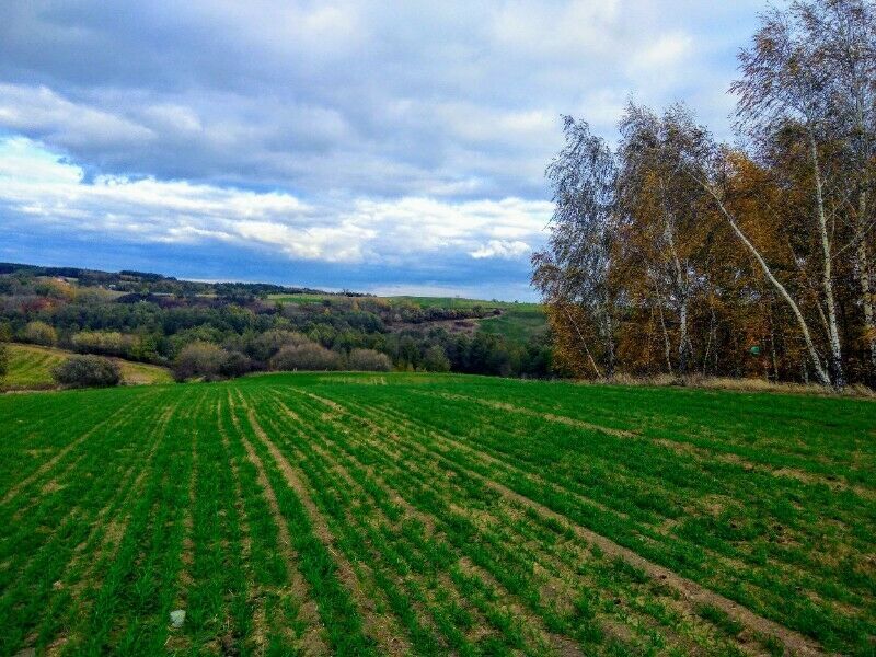 Działka rolna Piotrkowo. Zdjęcie 1
