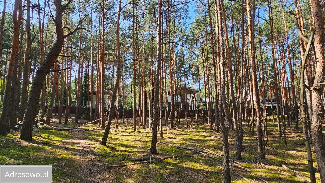 Działka budowlana Hornówek, ul. Jeżynowa. Zdjęcie 9