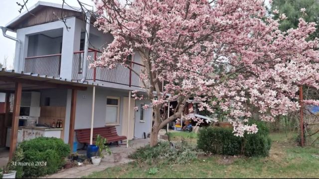 Działka rod Sosnowiec. Zdjęcie 1