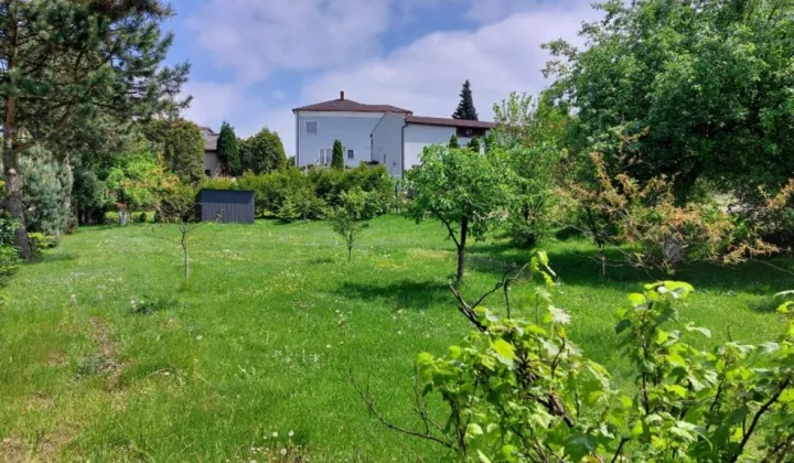 Działka budowlana Pszów, ul. Ignacego Paderewskiego