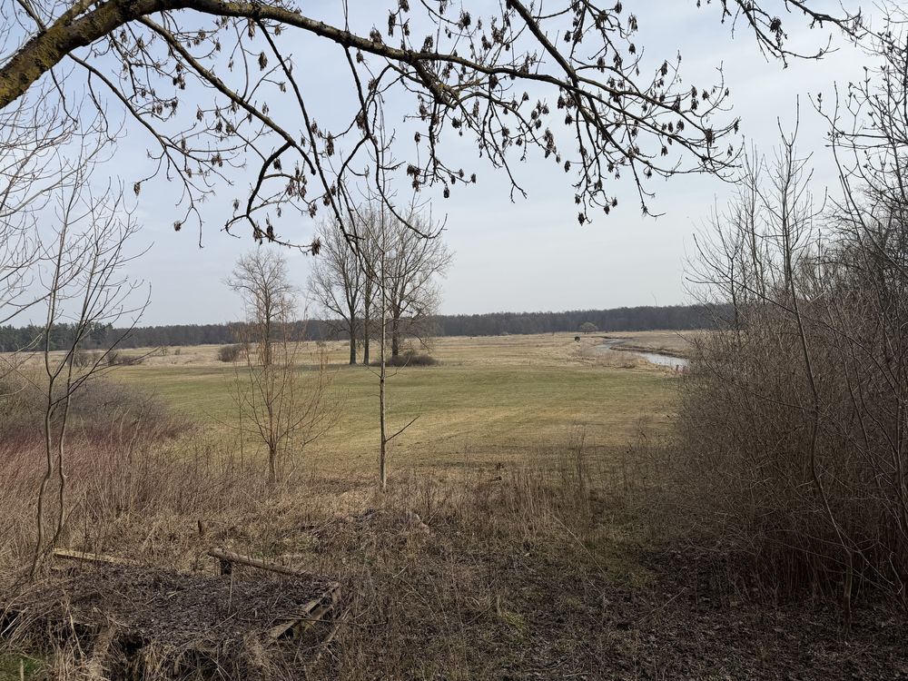 Działka rolno-budowlana Grodzisk. Zdjęcie 2