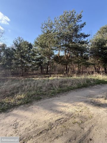 Działka budowlana Musuły, ul. Lukrecji. Zdjęcie 1