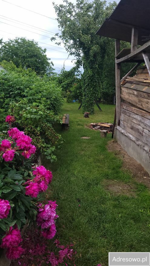 Działka rod Kraków Wzgórza Krzesławickie, ul. Sybiraków. Zdjęcie 7