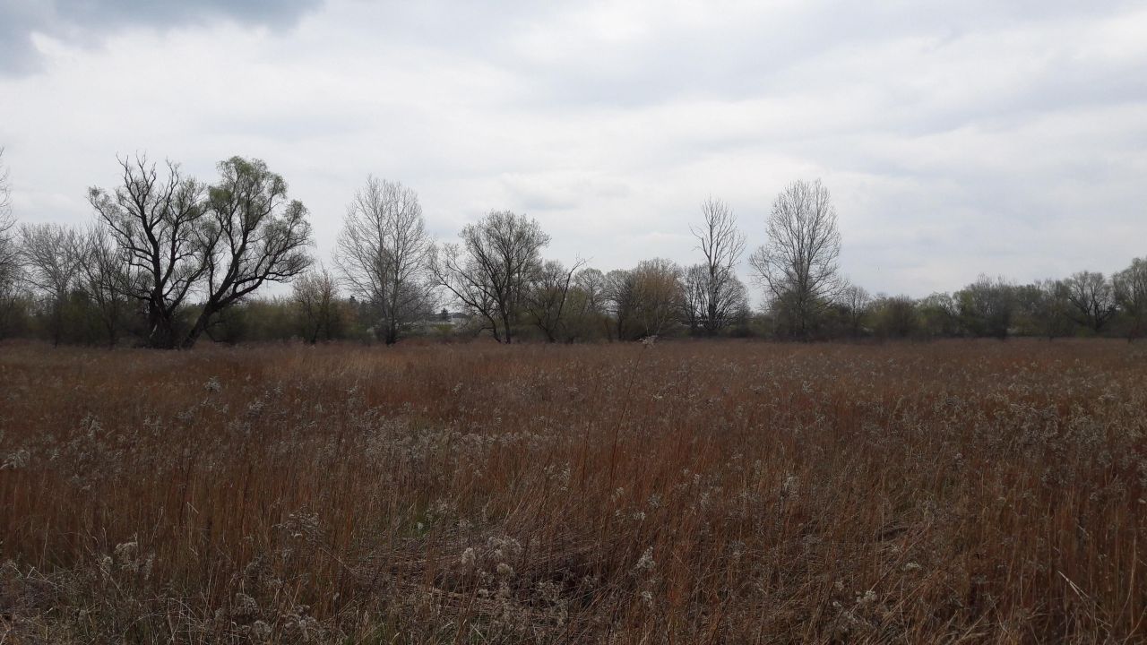 Działka rolna Warszawa Wawer, ul. Wał Miedzeszyński. Zdjęcie 4