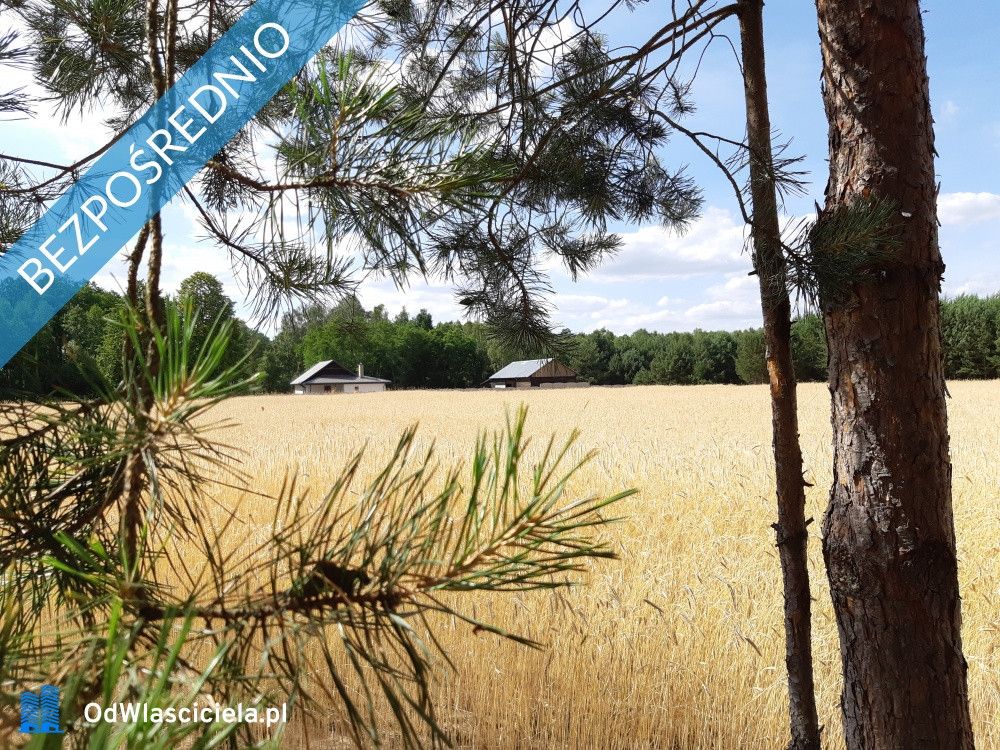 siedlisko, 3 pokoje Stromiec. Zdjęcie 16