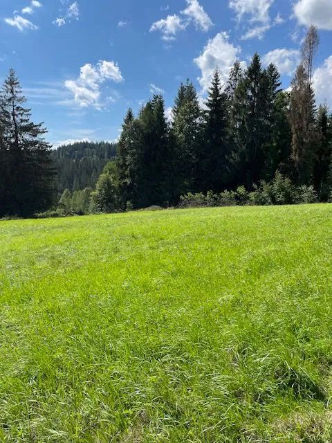 Działka budowlana Laliki. Zdjęcie 5