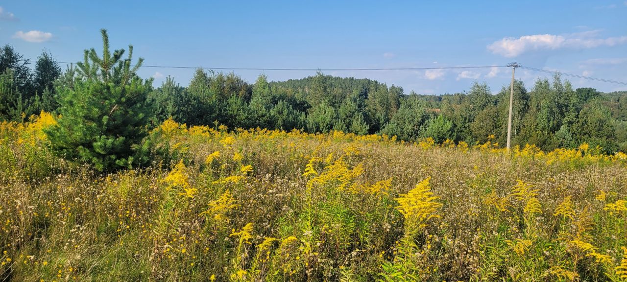 Działka budowlana Bogdany. Zdjęcie 7