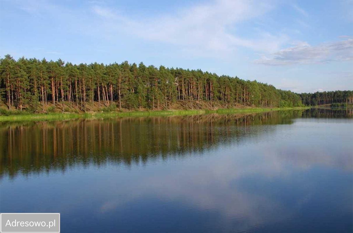 Działka Grotów. Zdjęcie 2