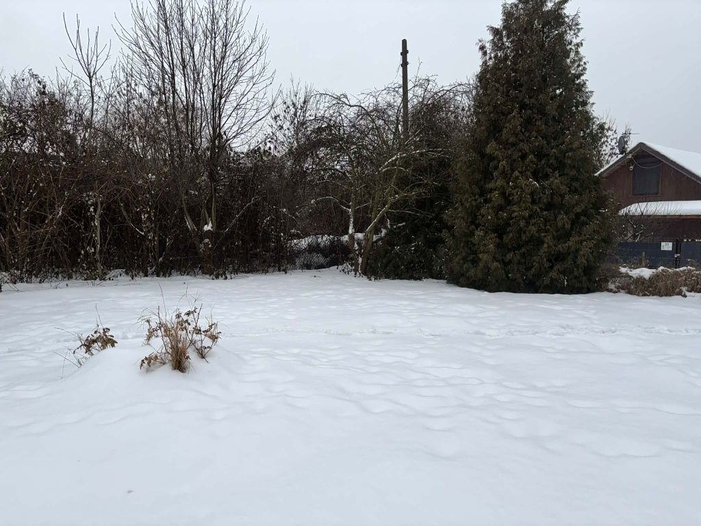 Działka rod Gdańsk Stogi. Zdjęcie 8