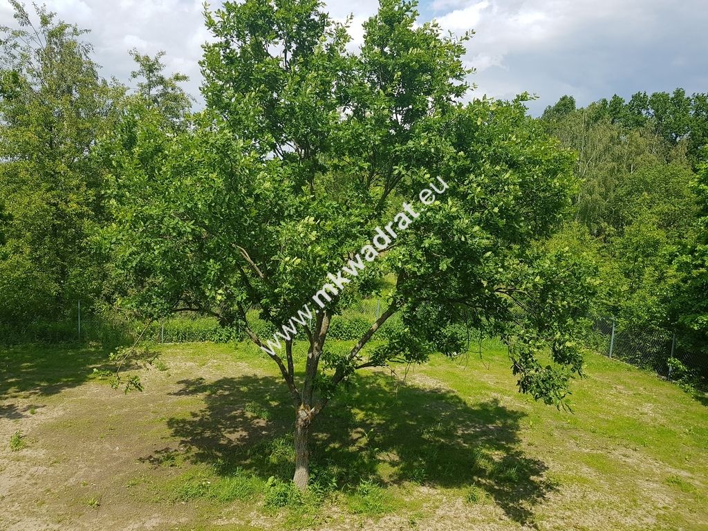 dom wolnostojący, 6 pokoi Terenia. Zdjęcie 19