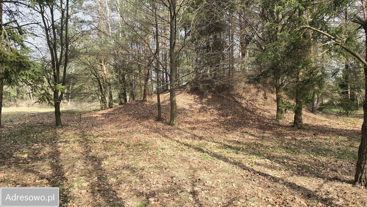 Działka rolna Drogoszowice. Zdjęcie 4