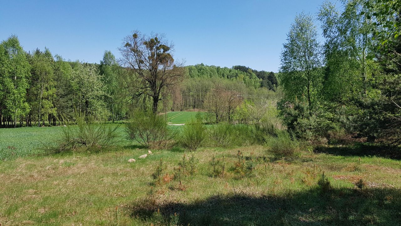 Działka rolno-budowlana Taurów. Zdjęcie 5