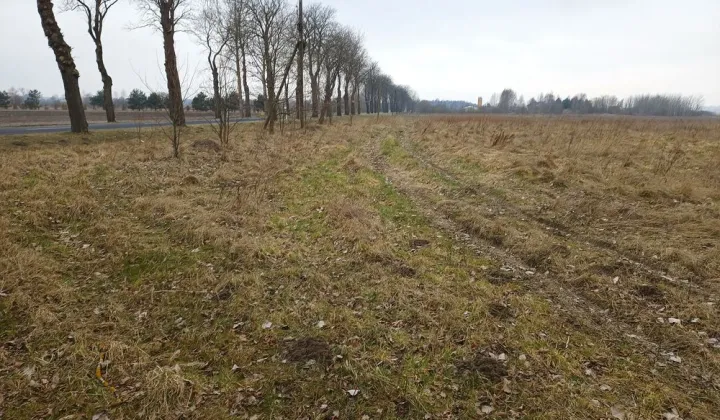 Działka budowlana Domasławice
