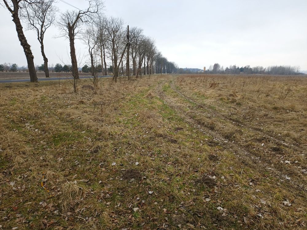 Działka na sprzedaż bez pośredników
Domasławice