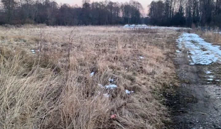 Działka budowlana Dyszów, ul. Bolesława Prusa