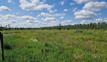 Działka rolno-budowlana Sierzchów, ul. Ogrodowa