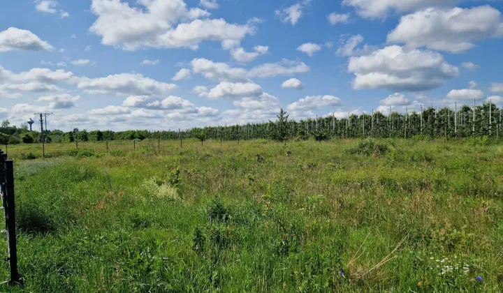 Działka rolno-budowlana Sierzchów, ul. Ogrodowa