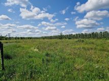 Działka rolno-budowlana Sierzchów, ul. Ogrodowa