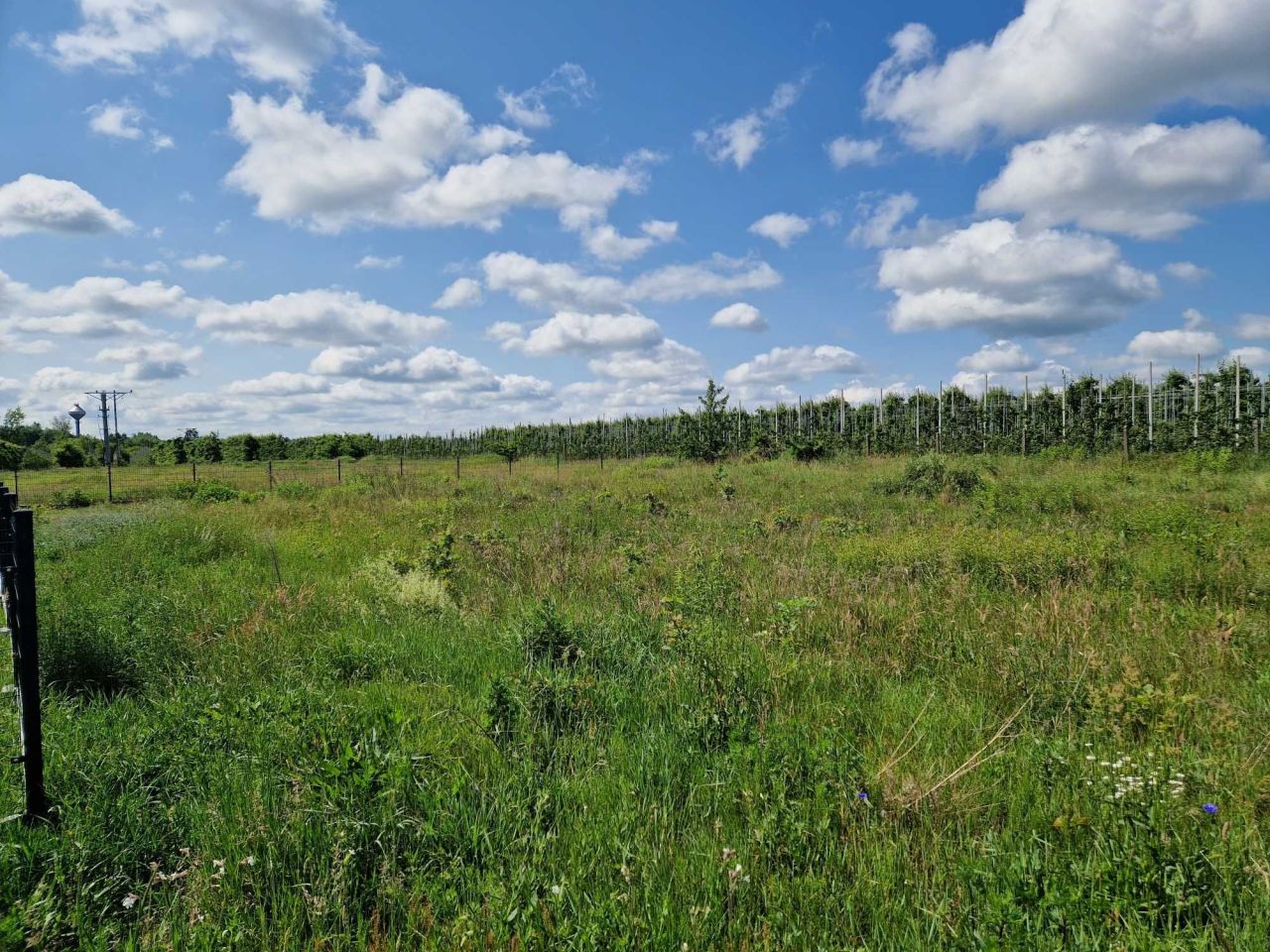 Działka rolno-budowlana Sierzchów, ul. Ogrodowa