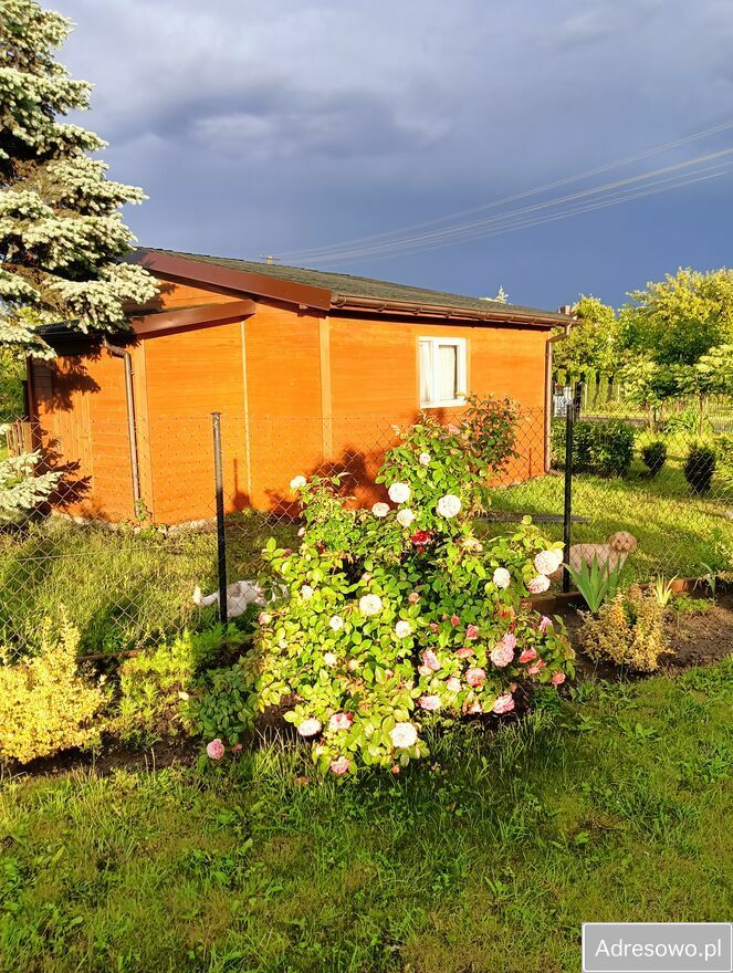 Działka budowlana Leśniewice. Zdjęcie 8