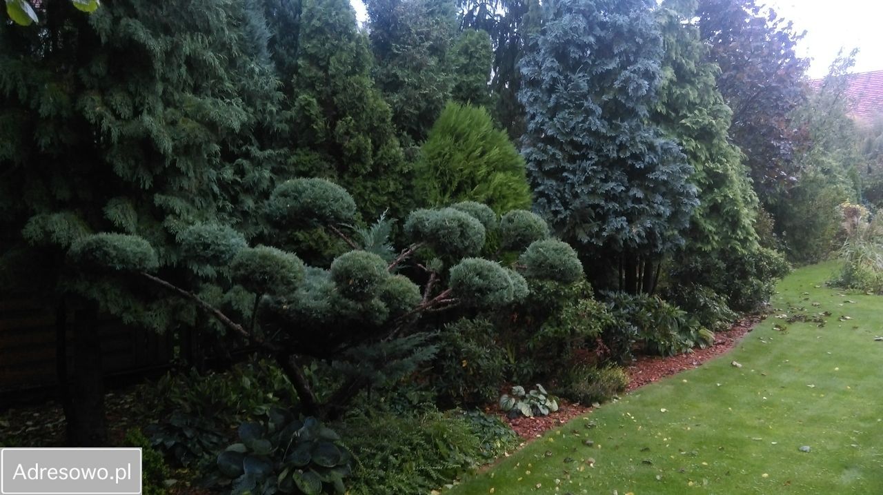 bliźniak, 5 pokoi Komorniki. Zdjęcie 11