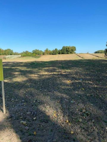 Działka rolno-budowlana Sadurki. Zdjęcie 1